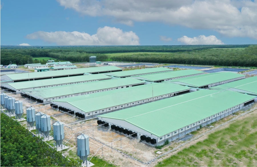 Dự án trại heo của quý đối tác SIBA